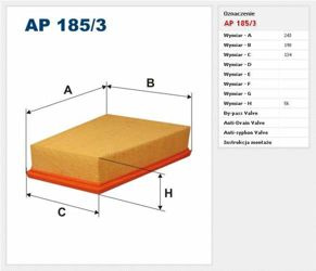 Filtr powietrza Filtron Renault Scenic 2