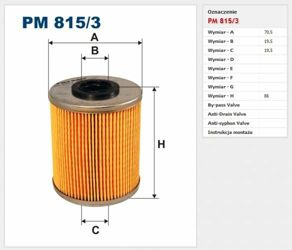 Filtr paliwa Filtron Renault Trafic II
