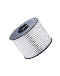 Filtr paliwa Filtron Ford S-Max 2.0 TDCi