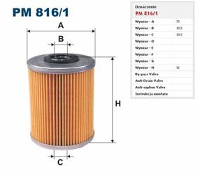 Filtr paliwa Filtron Renault AVANTIME