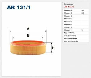 Filtr powietrza Filtron Renault Kangoo 1